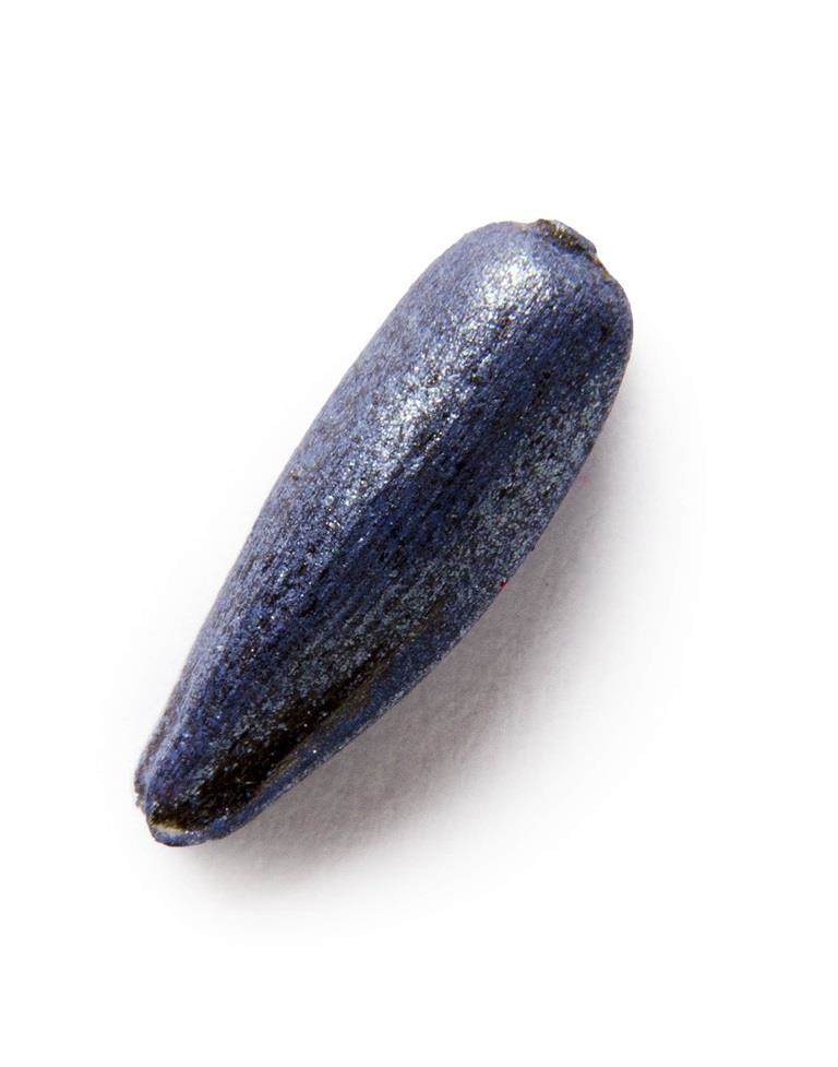 sunflower seed treatment including a drying powder