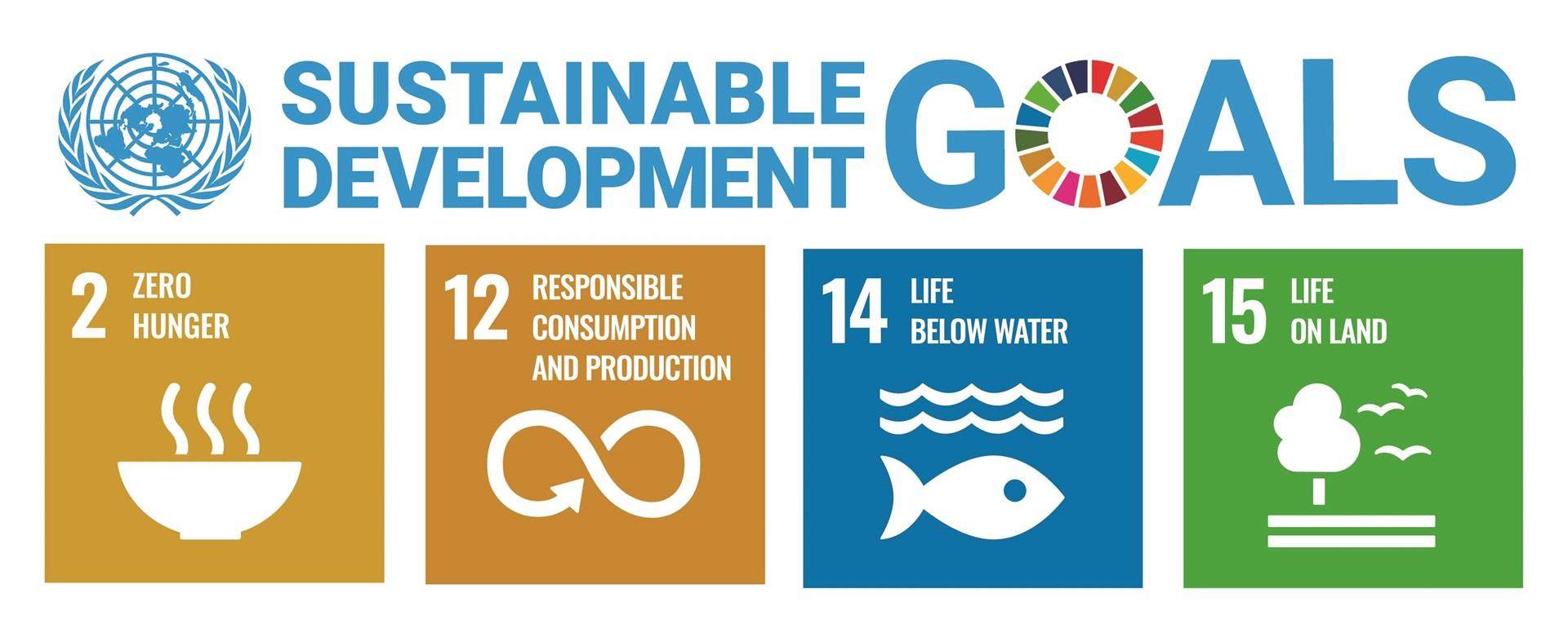 Incotec SDGs