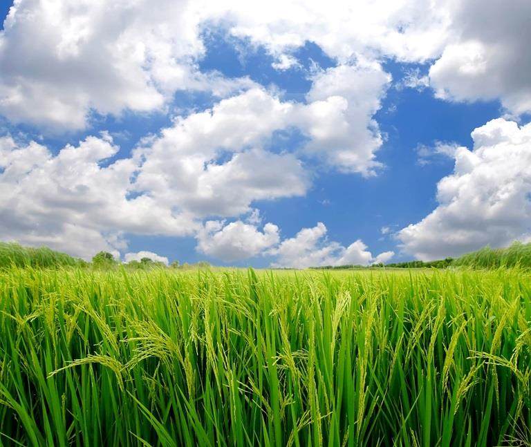 shutterstock 65834332