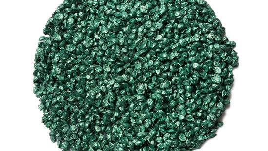 Green film coated Onion seed