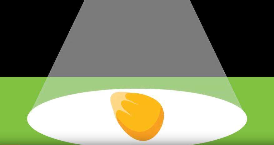 Film coating animation