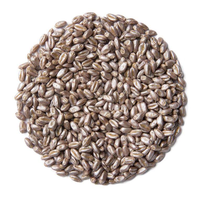 Silver film coated Wheat seed